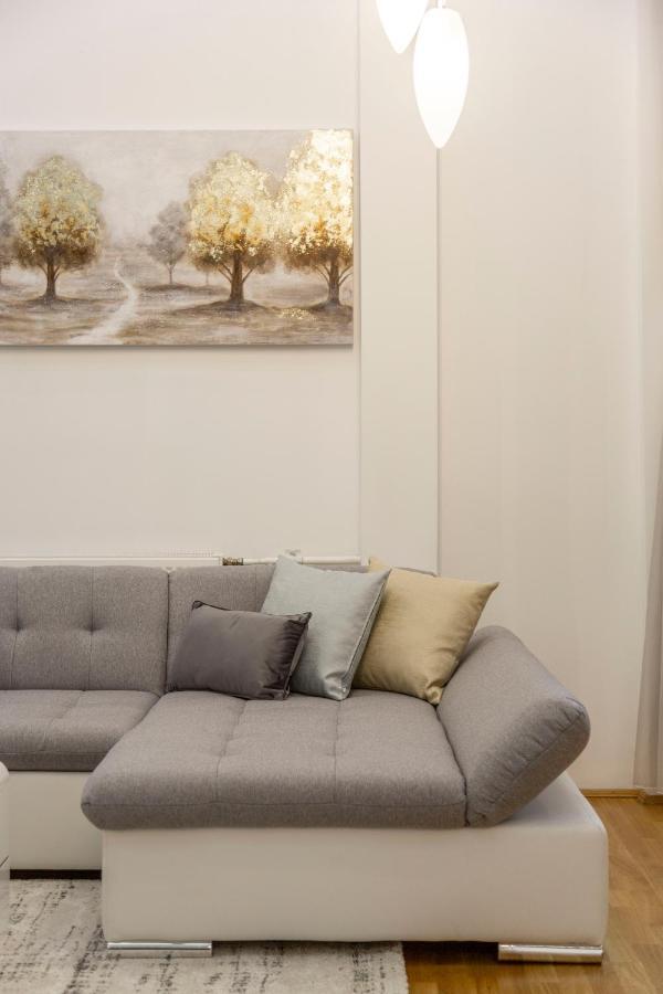Luxurious & Spacious Downtown Residence In Liszt Ferenc Square Budapeşte Dış mekan fotoğraf