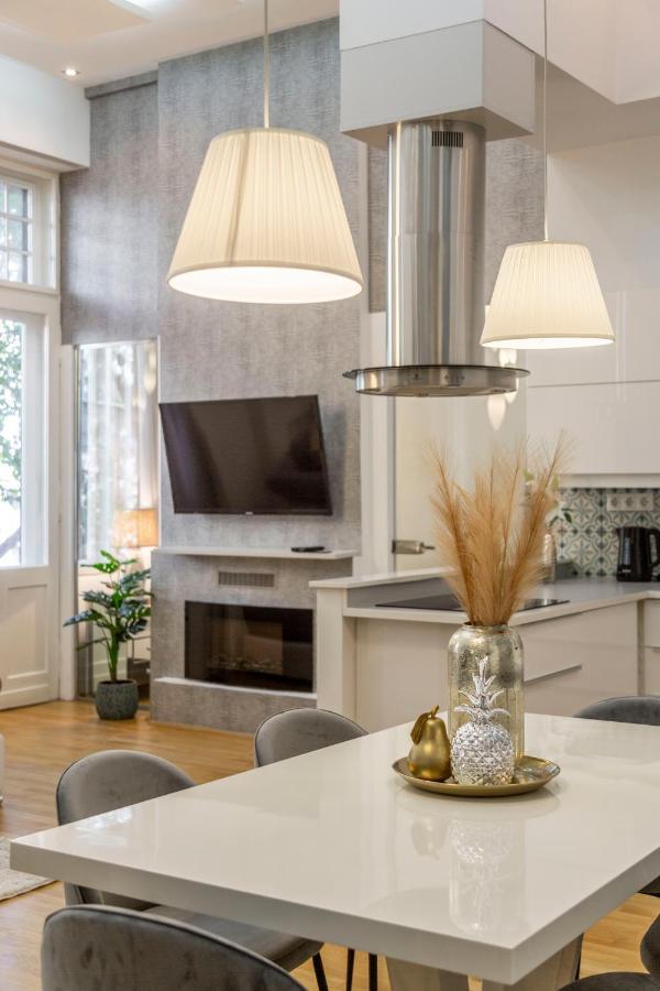 Luxurious & Spacious Downtown Residence In Liszt Ferenc Square Budapeşte Dış mekan fotoğraf