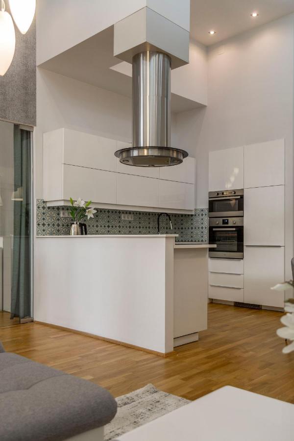 Luxurious & Spacious Downtown Residence In Liszt Ferenc Square Budapeşte Dış mekan fotoğraf